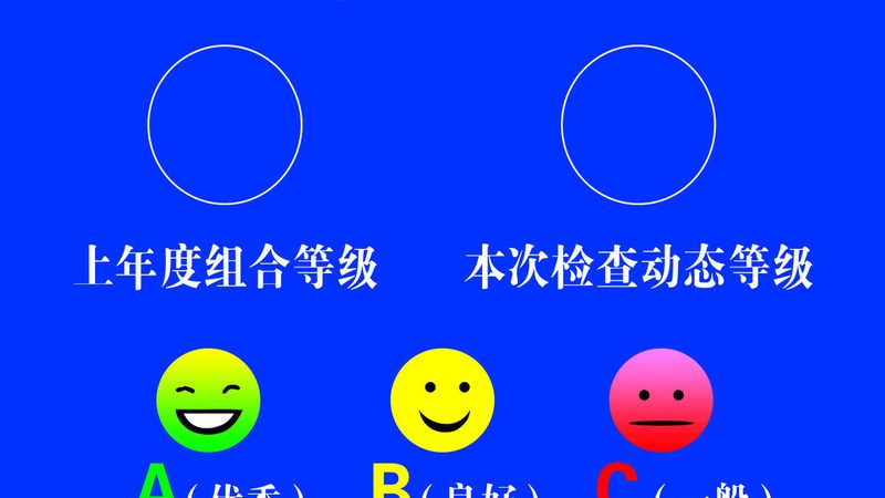 揭秘蜜饯果干：从厂家直销到消费者餐桌的旅程
