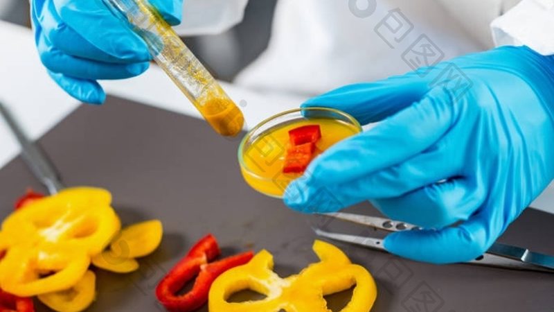 无糖儿童饼干，价格与品质的平衡之道
